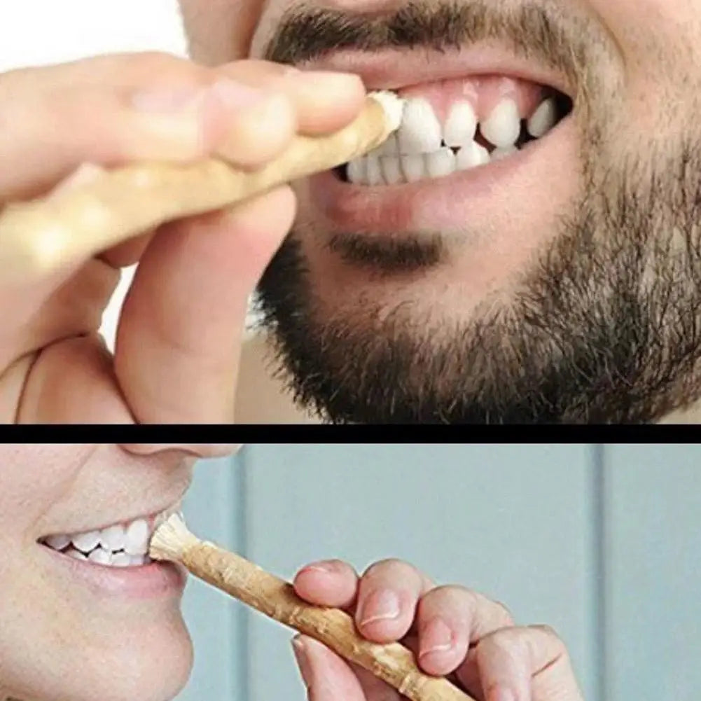 1pc Portable Miswak Siwak Natural Toothbrush Misvak Miswaak Teeth Traditional Arak Travel Whitener Toothbrush Oral Care Peaceful Pleasures Health and Wellness