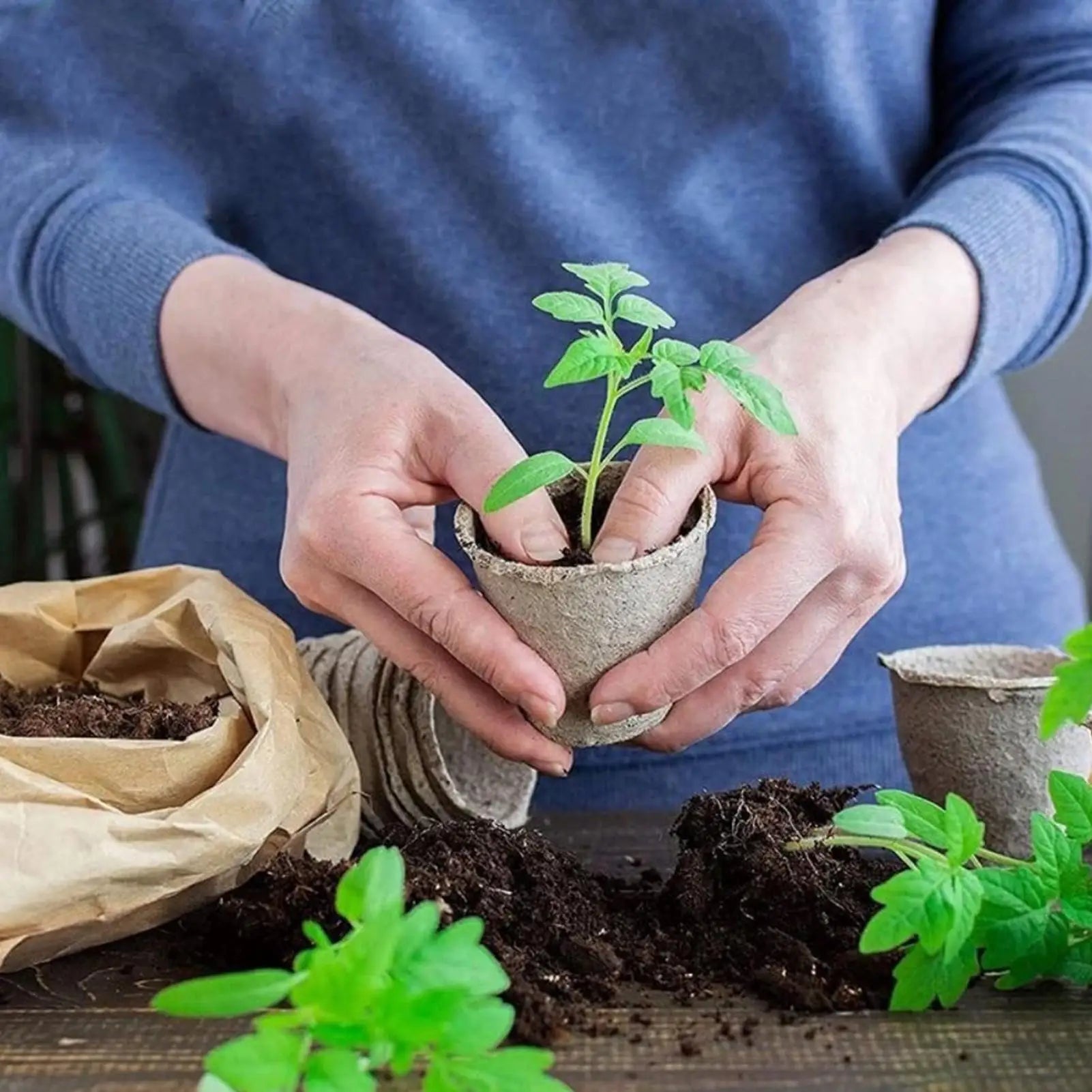 Seedling Pots 45 Pieces Gardening Breathable Round Plant Seedling Pots For Yard Backyard Balcony Flowers Vegetables Succulents Peaceful Pleasures Health and Wellness