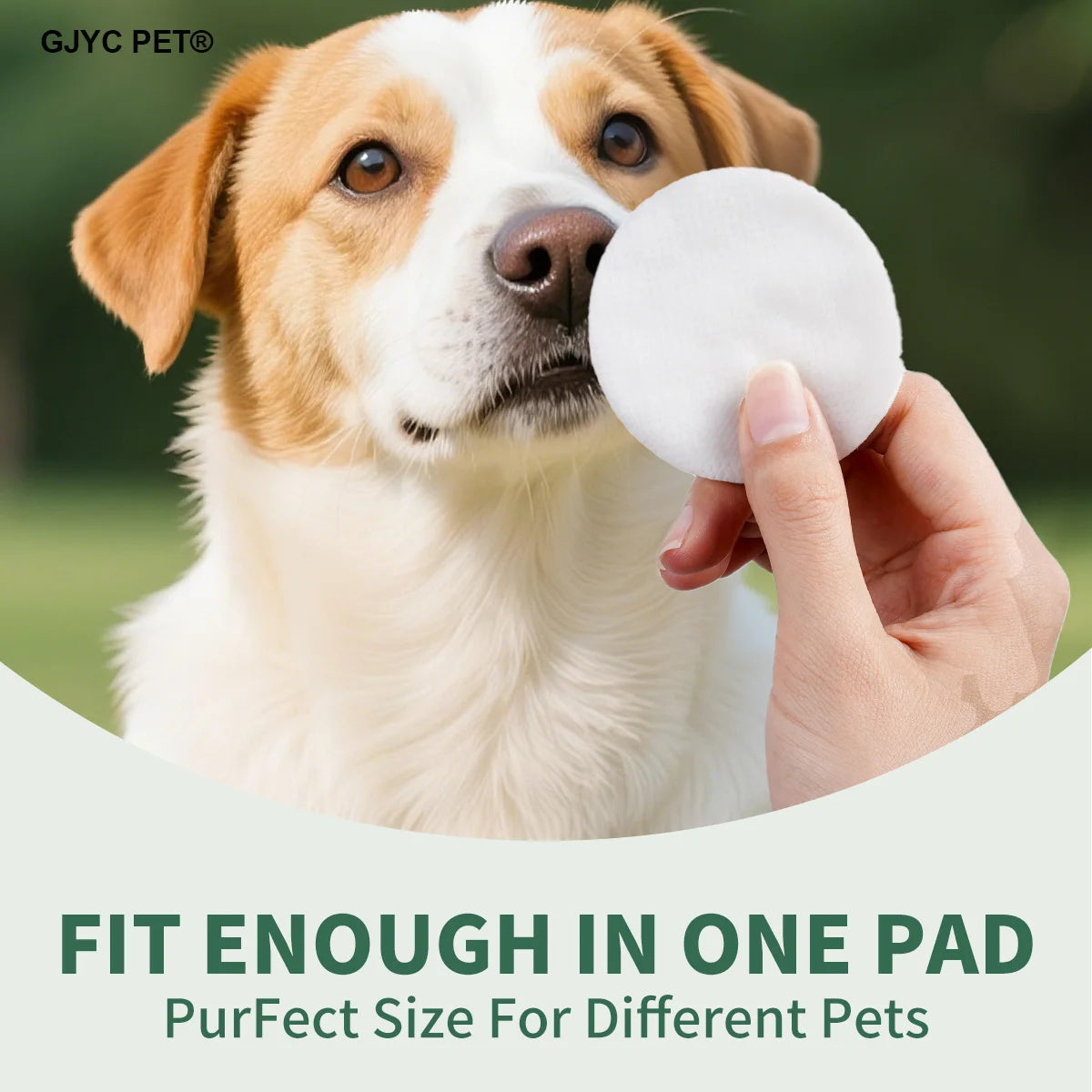 2-in-1 Pet Wipes for Dogs & Cats – Eye & Ear Grooming