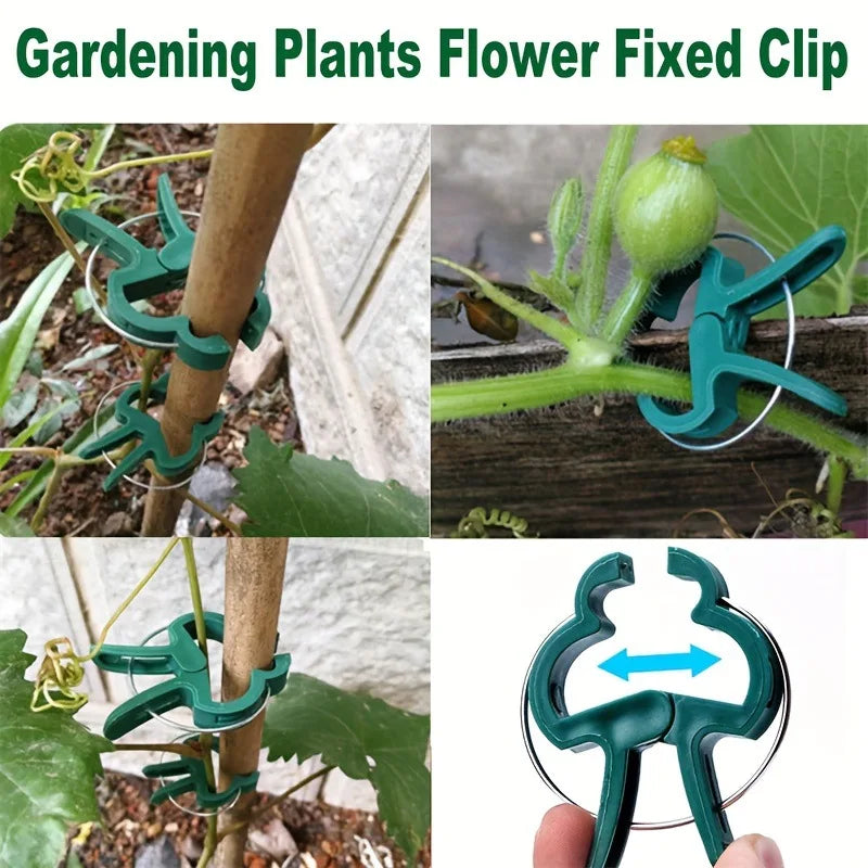 Plant Clips for Climbing Plants & Tomato Vine Support Garden Plant Clips Peaceful Pleasures Health and Wellness