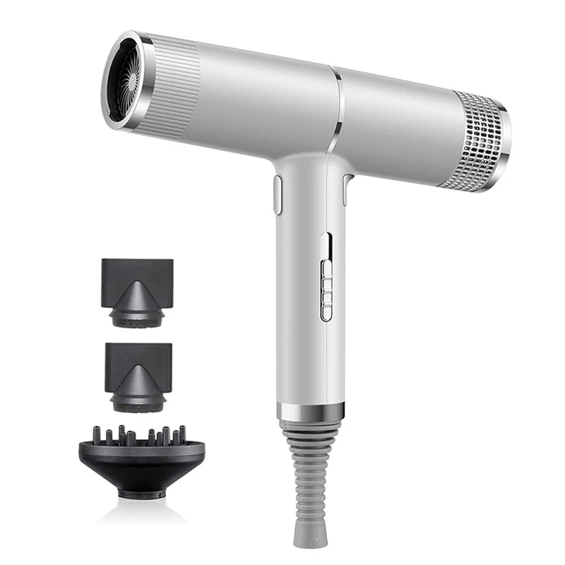 Custom Color & Logo Motor Hair Dryer Set Electric Power Hair Diffuser Dryer Professional Salon Use Hair Dryer Peaceful Pleasures Health and Wellness Silver 100V-240V US Plug