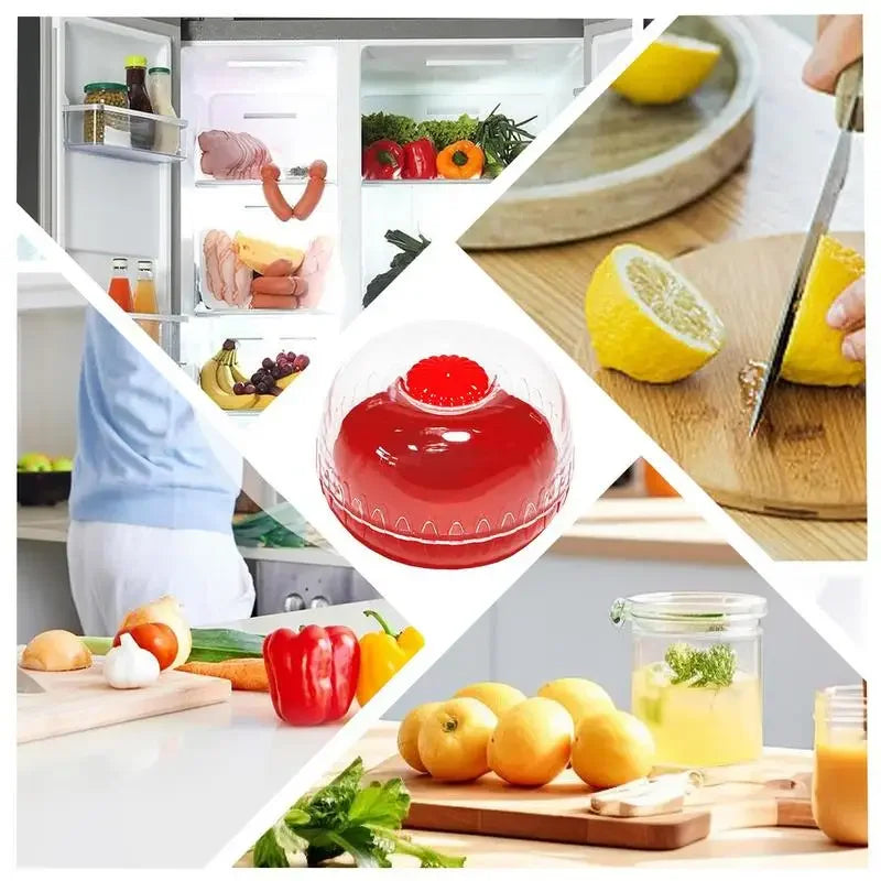 1/4 pcs Hot Sale Fruit Vegetable Fresh box Mini Food Preservation Refrigerator Storage box Vegetable Tray Vegetable Storage Box Peaceful Pleasures Health and Wellness