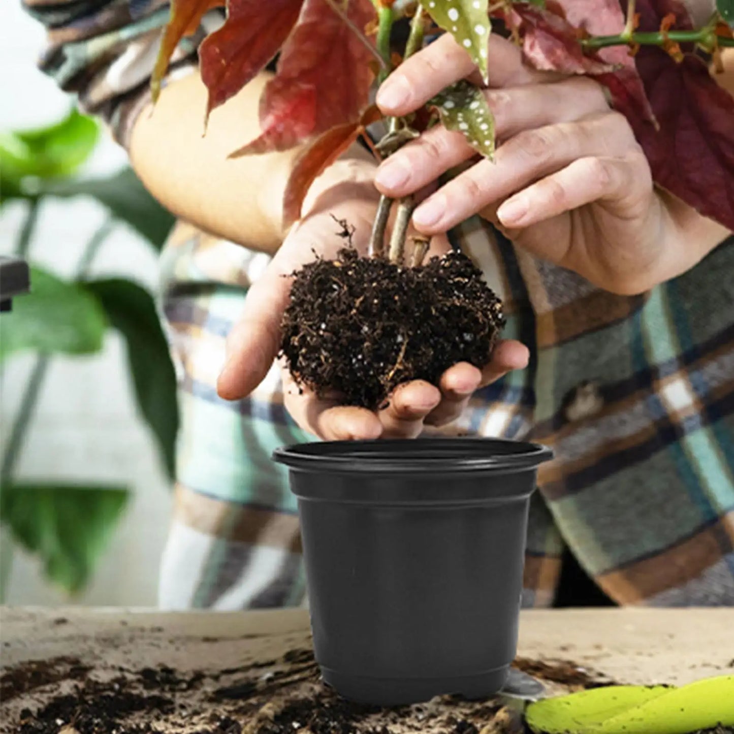 100-Pack 4-Inch Nursery Pots with Drainage Holes | Propagation