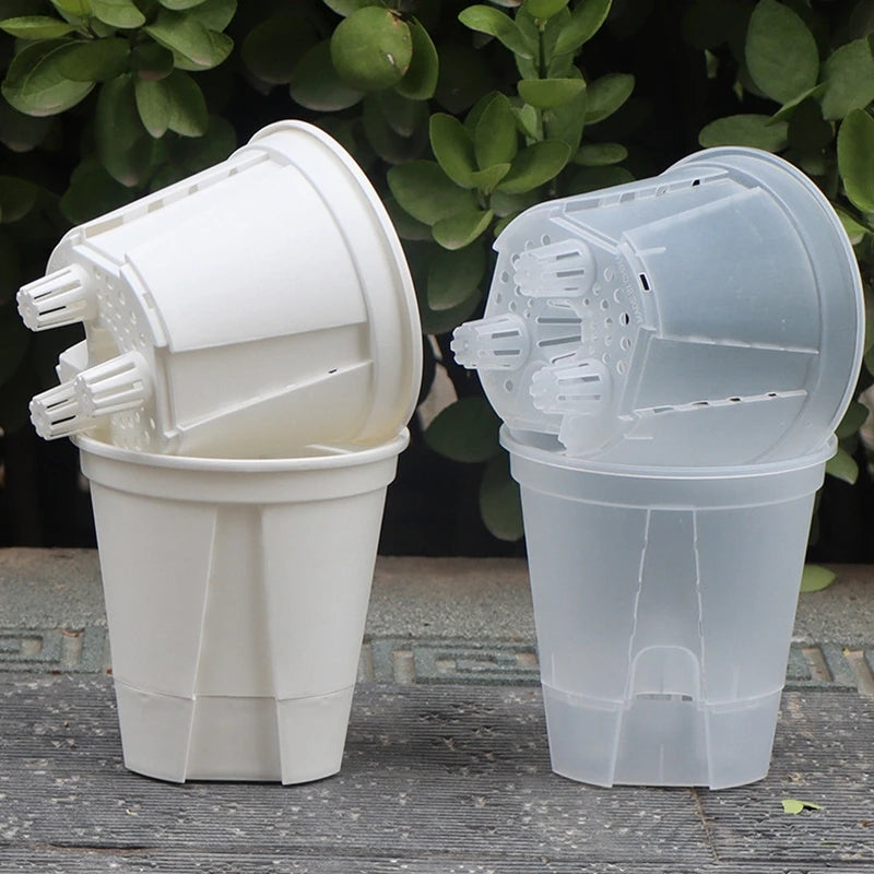 Self-Watering Transparent Orchid Pot | Double Layer Hydroponic