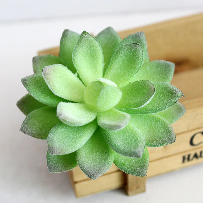 Artifical Plastic Succulent Plant Realistic Textured Cactus Mini Faux