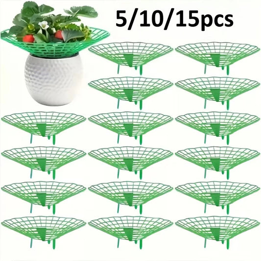Strawberry & Watermelon Plant Support Frames | 5/10/15pcs Plant Support Frames Peaceful Pleasures Health and Wellness