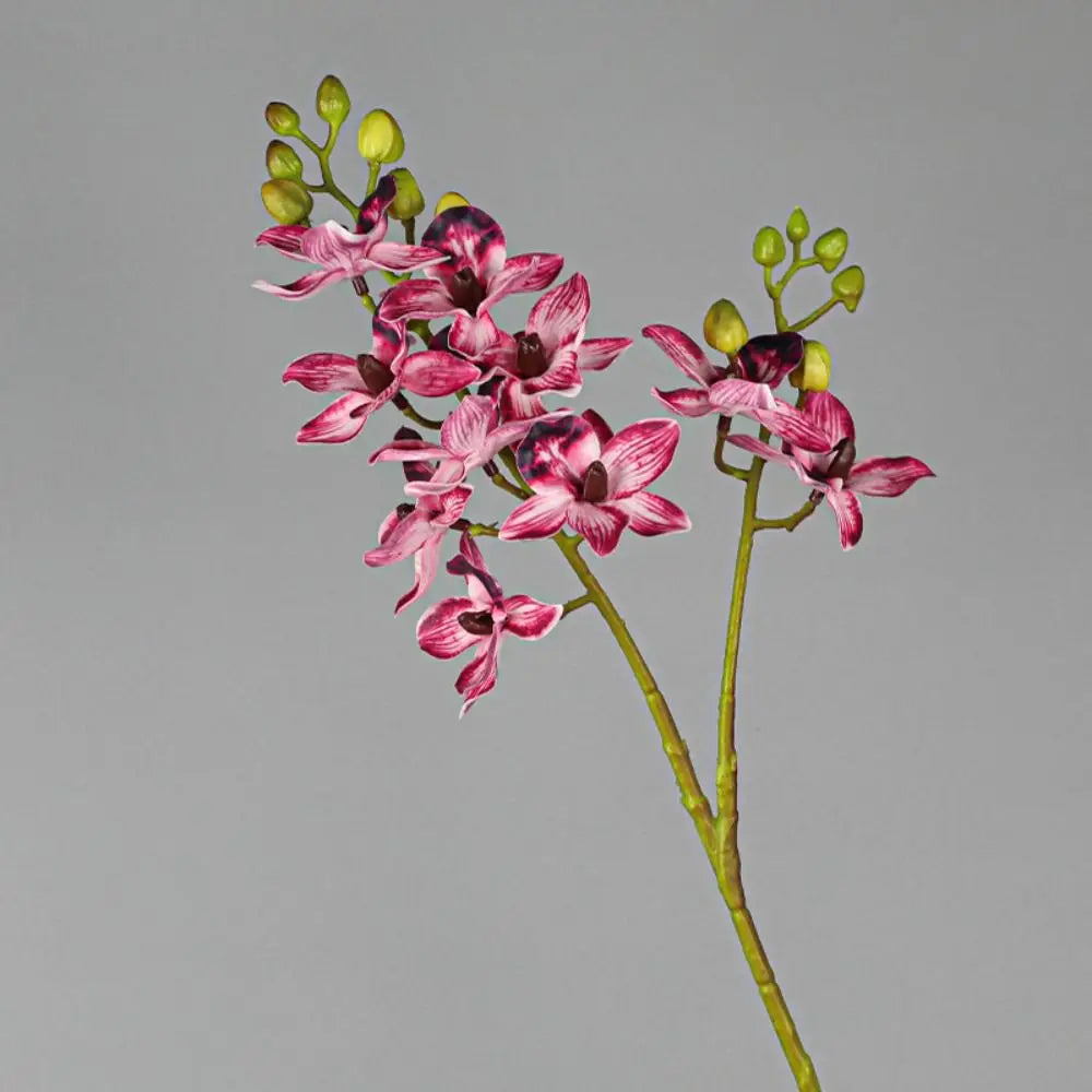 Artificial Phalaenopsis Orchid Branch | 2 Fork Real Touch 60cm