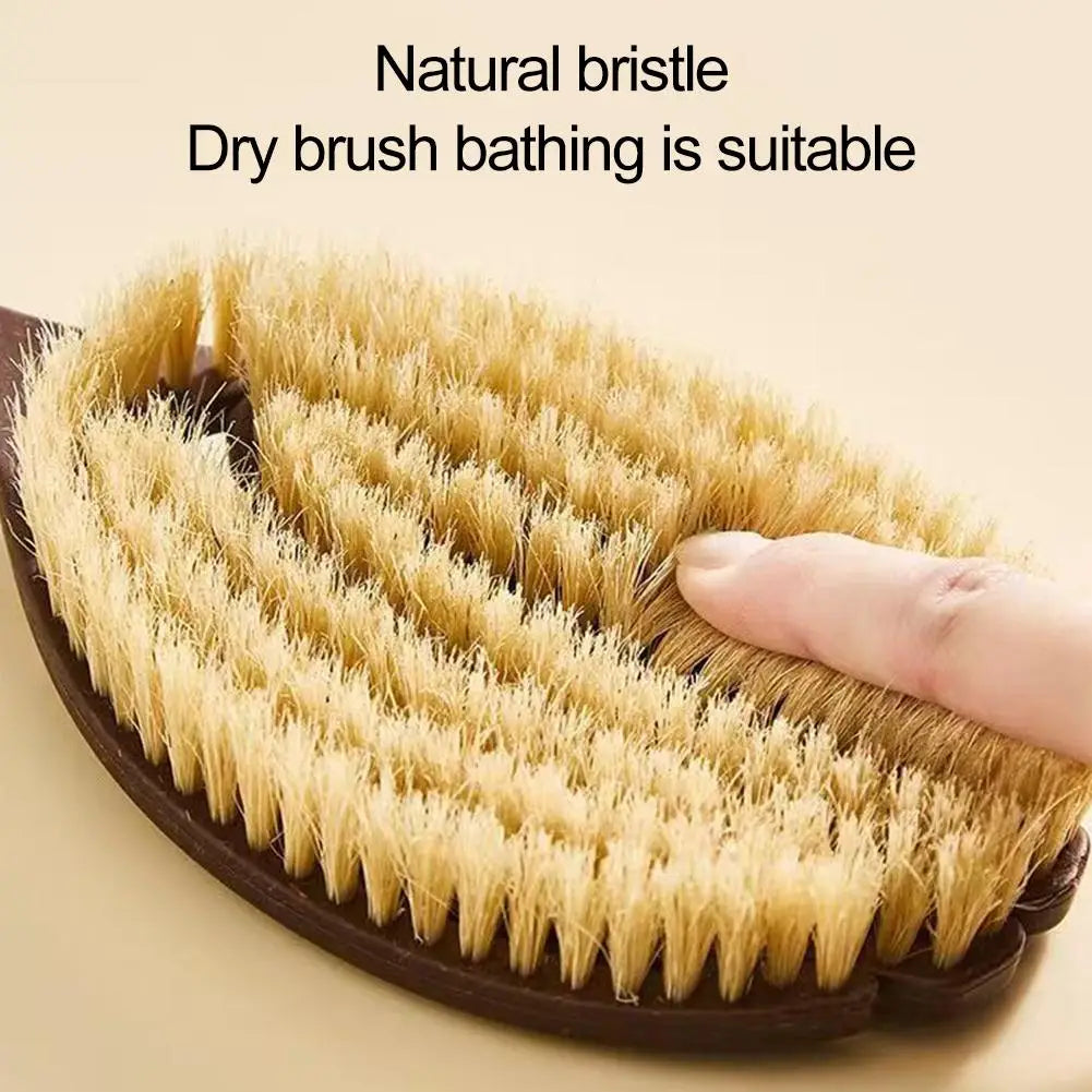 Natural Bristle Body Brush – Long Handle Back Scrubber for Dry Brushing & Exfoliation Peaceful Pleasures Health and Wellness