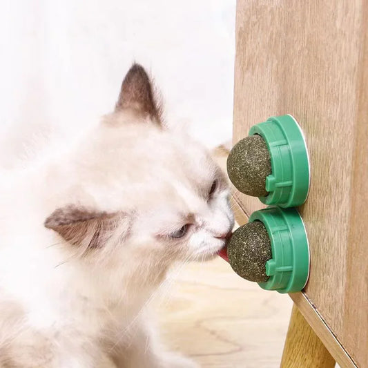 Catnip Wall Stick-On Ball Toy – Natural Cat Grass Treat & Dental Cat Catnip Toy Peaceful Pleasures Health and Wellness