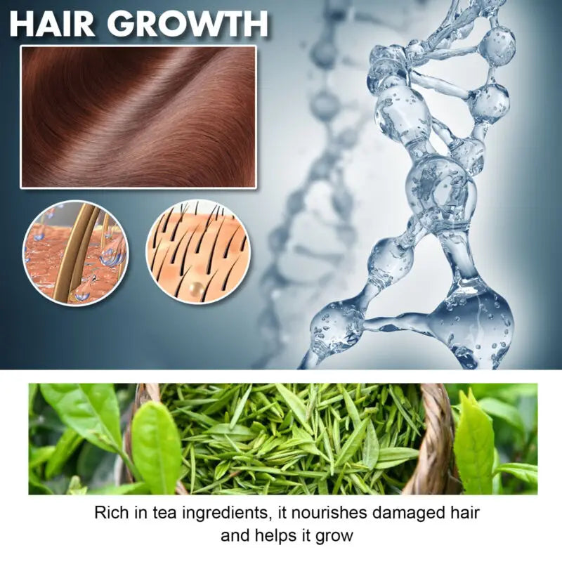 HOEGOA Shampoo & Conditioner Set – Moisturize & Repair All Hair