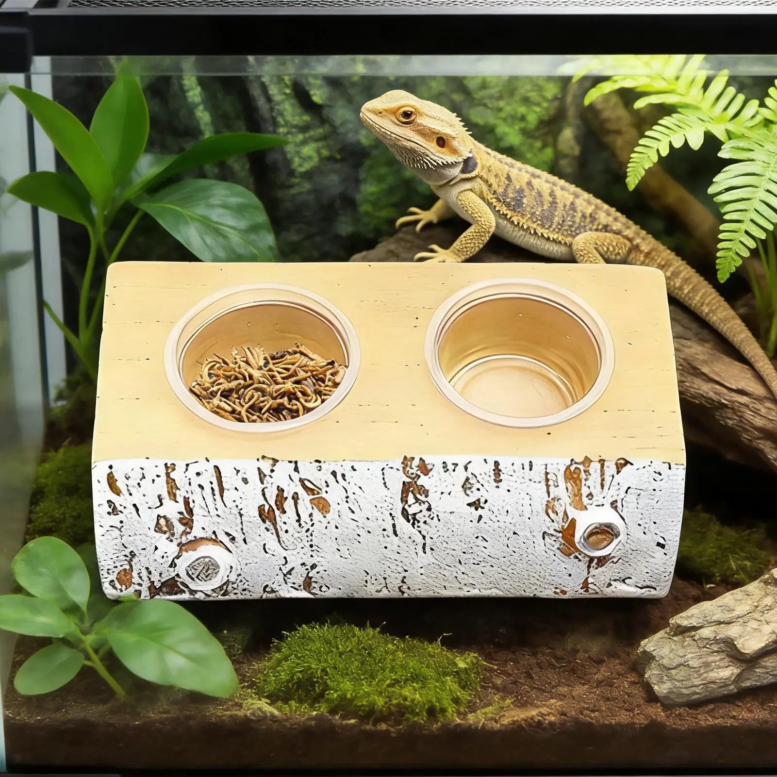 Magnetic Gecko Feeding Ledge with 10 Cups | Reptile Feeder Reptile Feeding Ledge Peaceful Pleasures Health and Wellness
