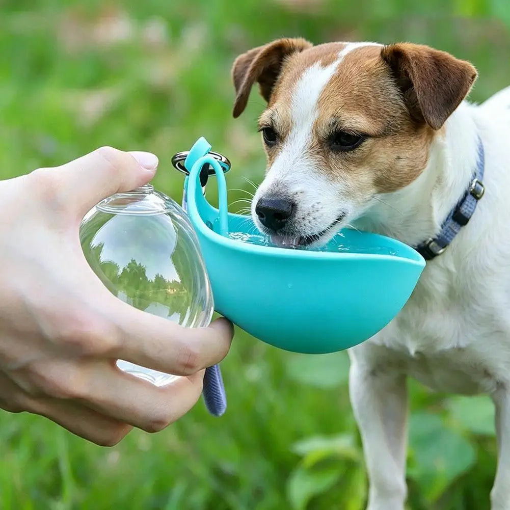 2-in-1 Pet Silicone Hiking Feeders Creative Portable Outdoor Pet Water Cup Leak Proof Compact Dog Travel Walking Drinking Bowl Peaceful Pleasures Health and Wellness