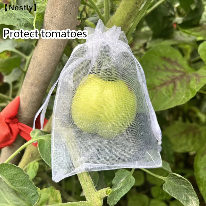 50Pcs Grapes Fruit Protection Bags Pest Control Anti-Bird Garden Netting Bags Mesh Agricultural Tree Garden Tool Bags〔Nest〕 Peaceful Pleasures Health and Wellness