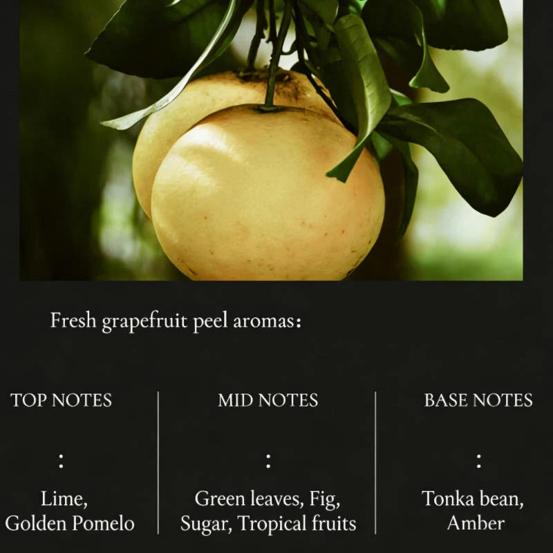 Eelhoe Citrus Sandalwood Unisex EDT Perfume 50ml
