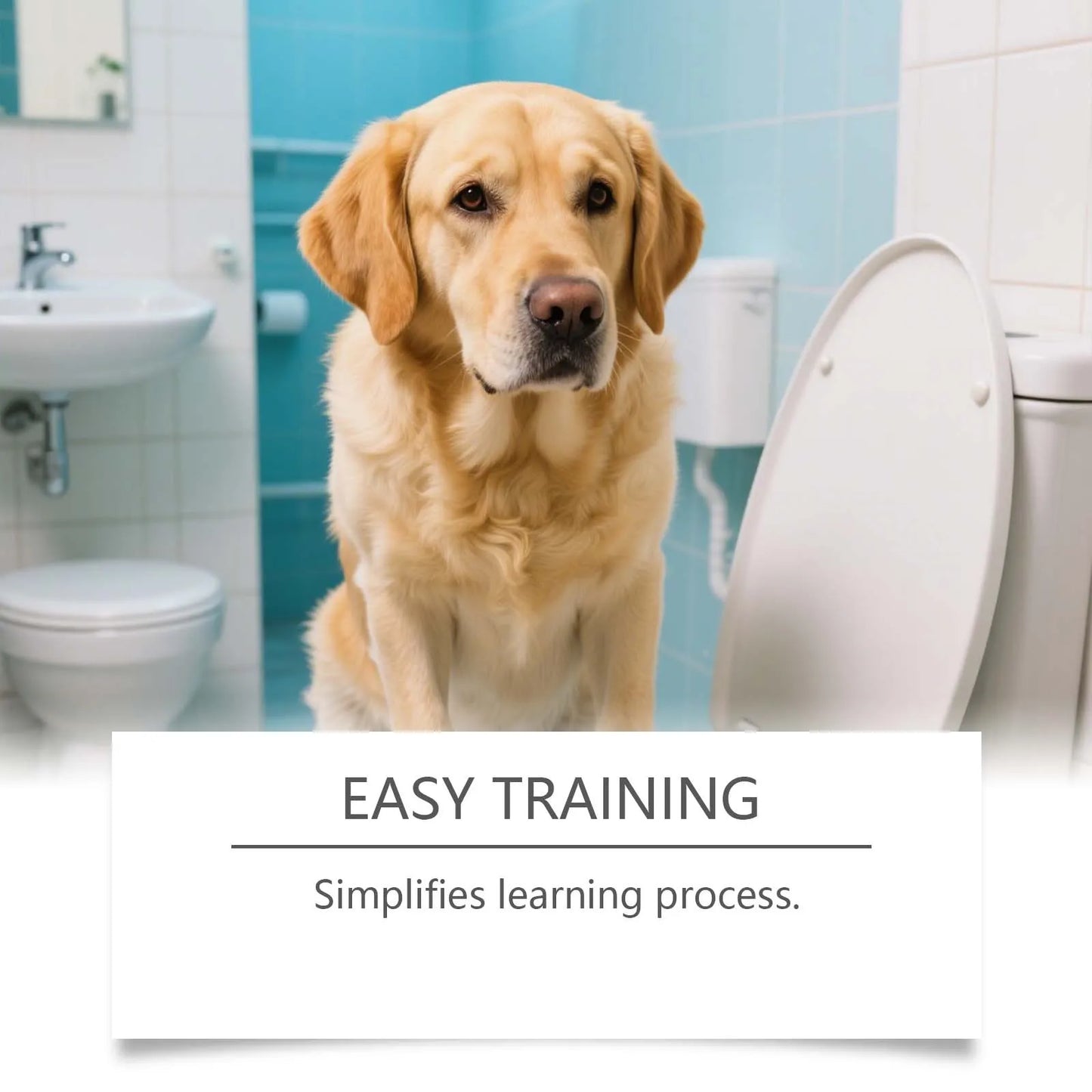 YEGBONG Pet Toilet Training Spray – Dog & Cat Potty Trainer