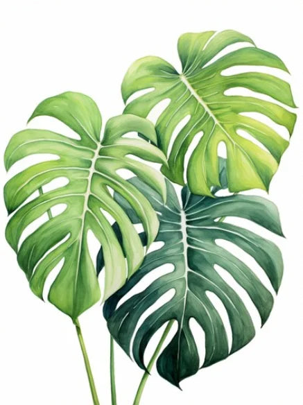 Tropical Plants Green Plants Golden Petals Aesthetic Posters Prints Modern Home Minimalist Style Decorative Art Canvas Painting Peaceful Pleasures Health and Wellness