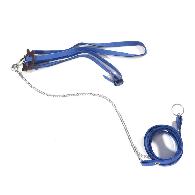 Pet Turtle Leash & Harness – Outdoor Training Traction Belt