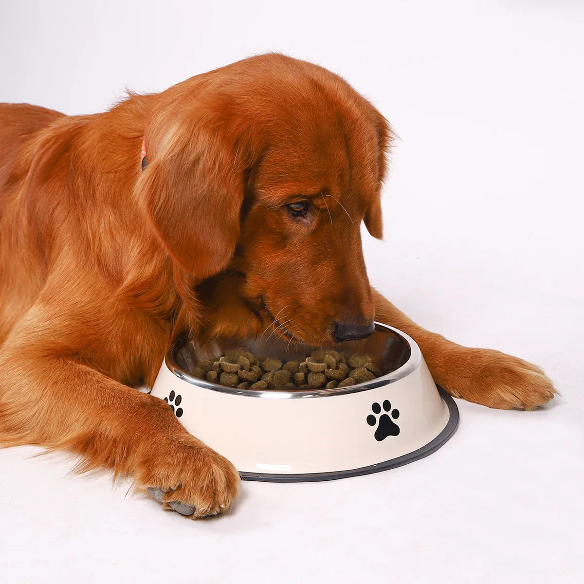 Stainless Steel Pet Bowl | Anti-Slip, Stackable Dog & Cat Feeder