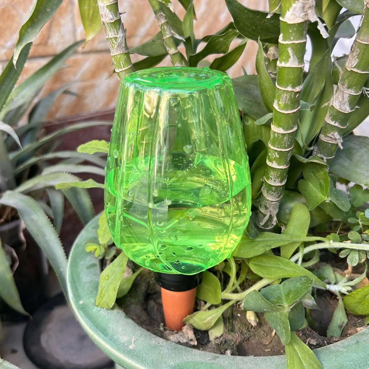 350ml Self-Watering Globe – Automatic Plant Drip Irrigator