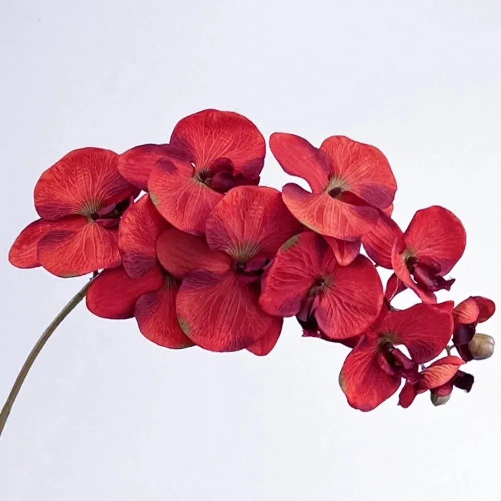 10-Head Artificial Butterfly Orchid Stem | Real Touch Phalaenopsis