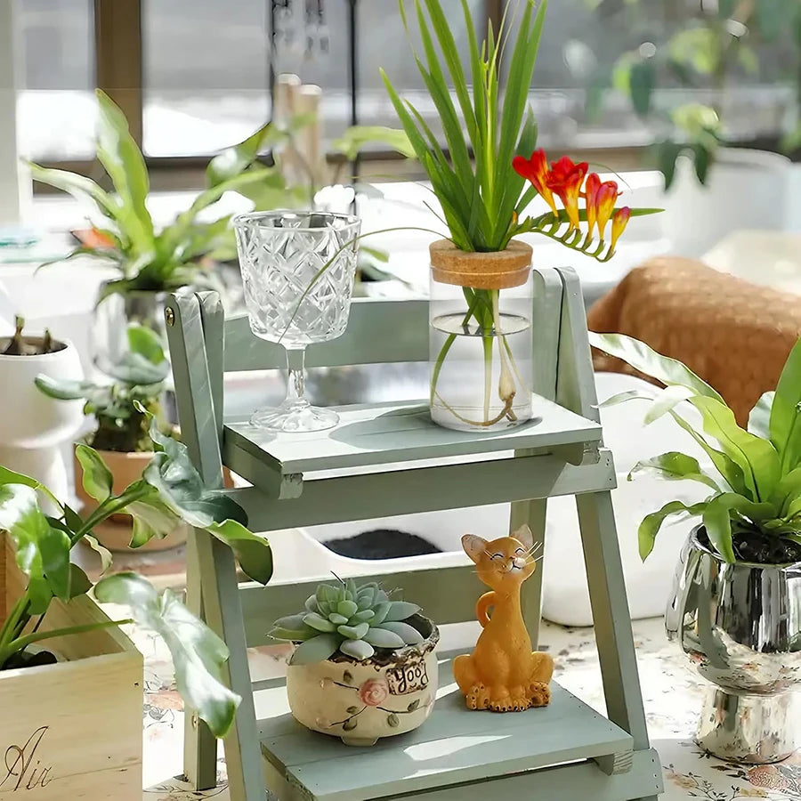 Plant Propagation Station – Hydroponic Acrylic Vase Planter Jars for Desk, Home Garden Decor & Gifts