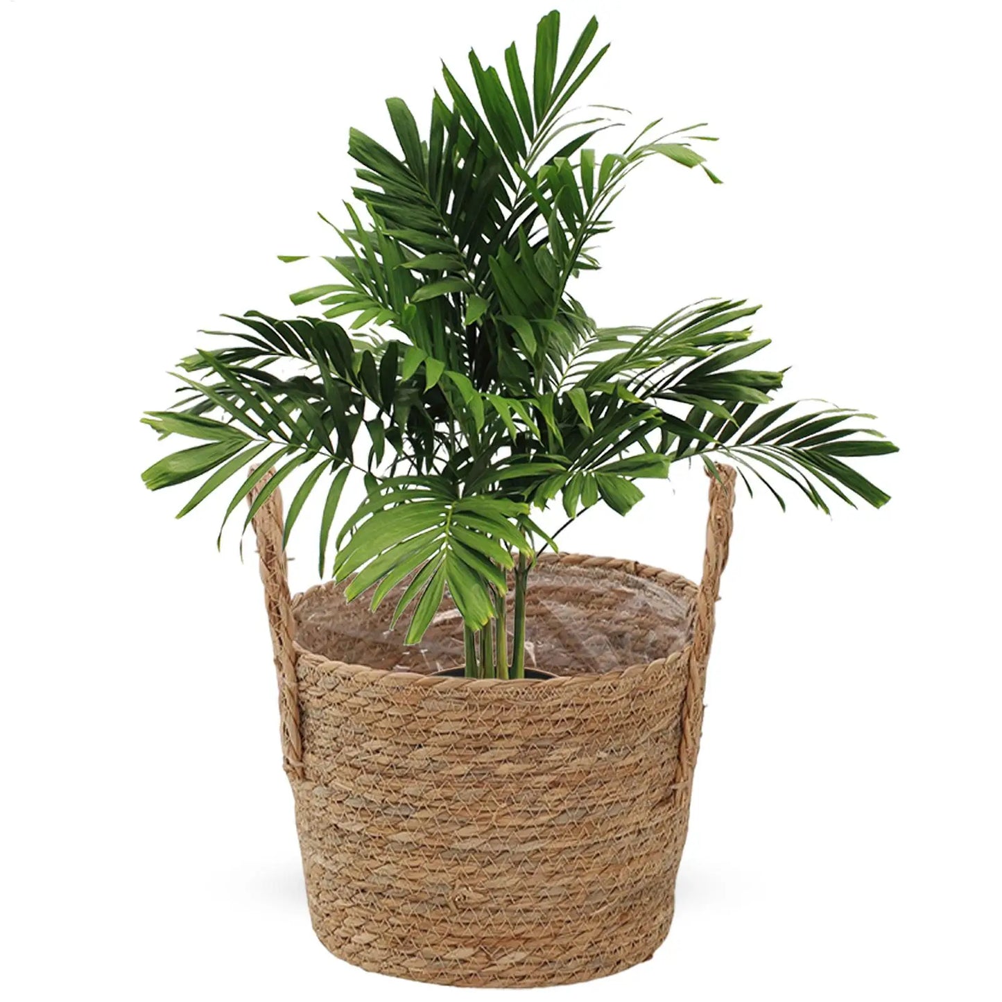 Handwoven Wicker Rattan Planter Basket | Straw Flower Pot