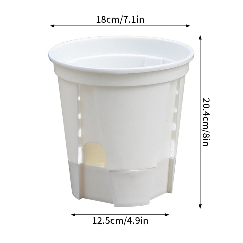 Self-Watering Transparent Orchid Pot | Double Layer Hydroponic