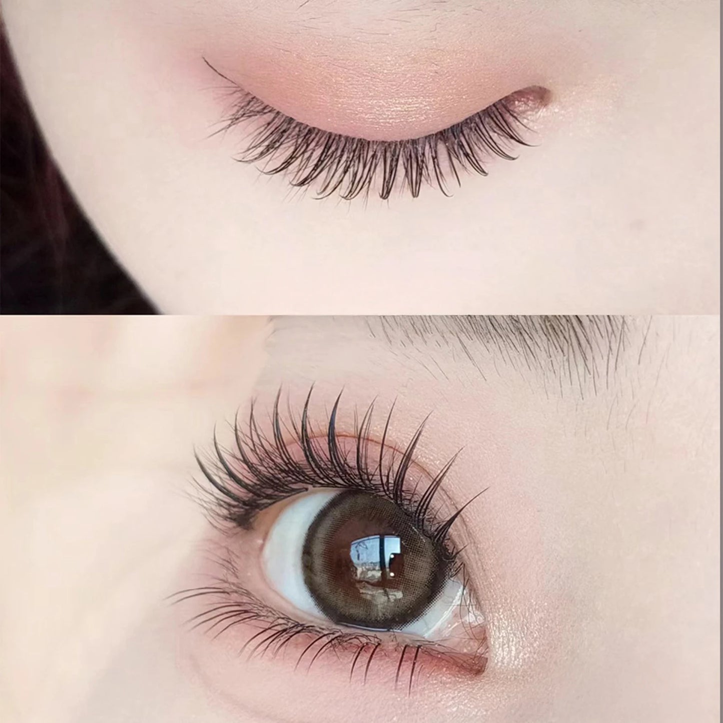 Korean Idol Manga Cluster Lashes | Wispy 3D Lash Extensions False Lash Extensions Peaceful Pleasures Health and Wellness