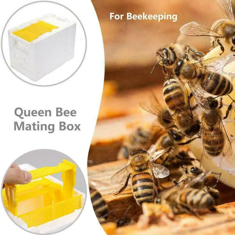 Foam Queen Rearing Mating Nuc Box – Beekeeping Supplies