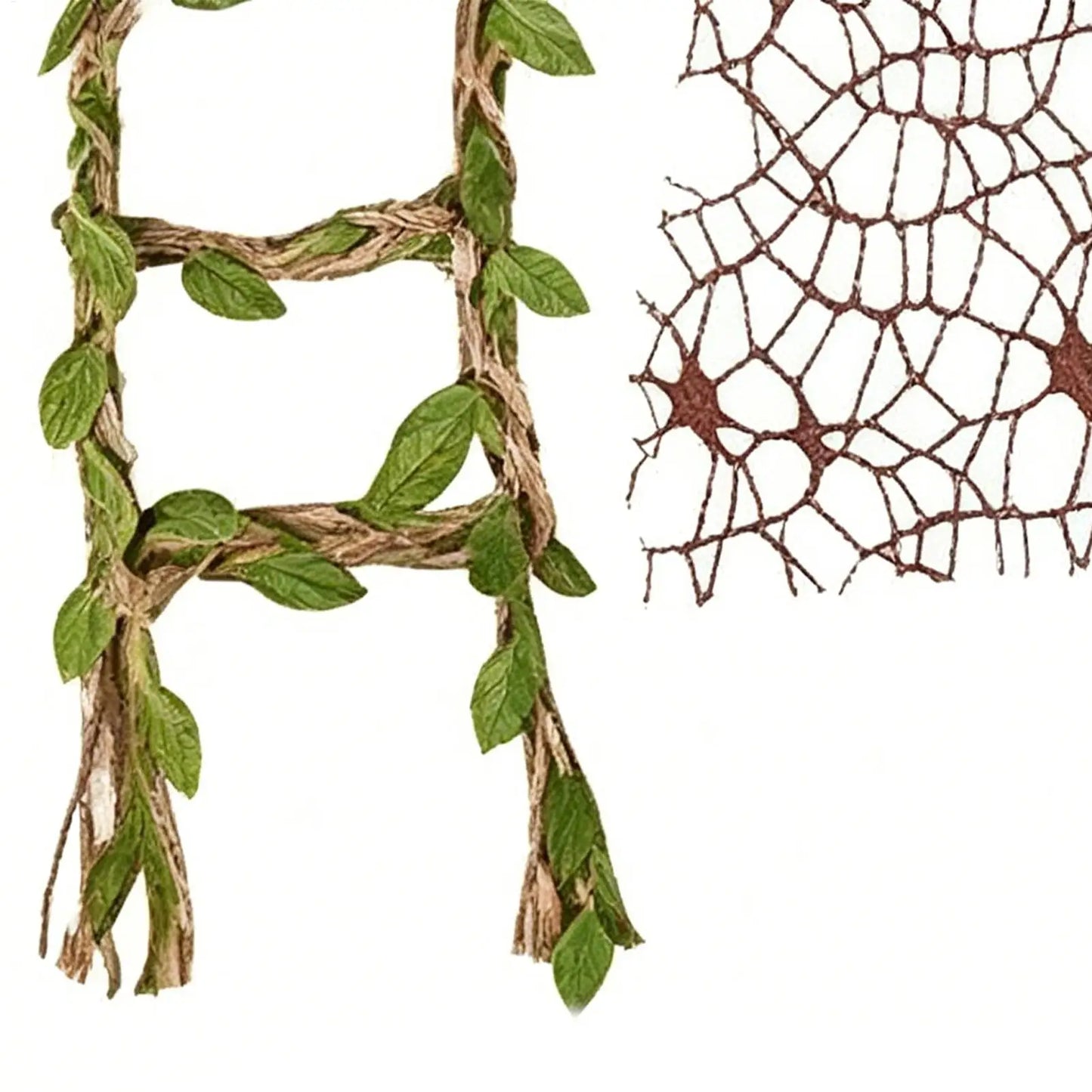 Jumping Spider Enclosure Accessories – Moss & Climbing Decor Set Terrarium Decor Set Peaceful Pleasures Health and Wellness