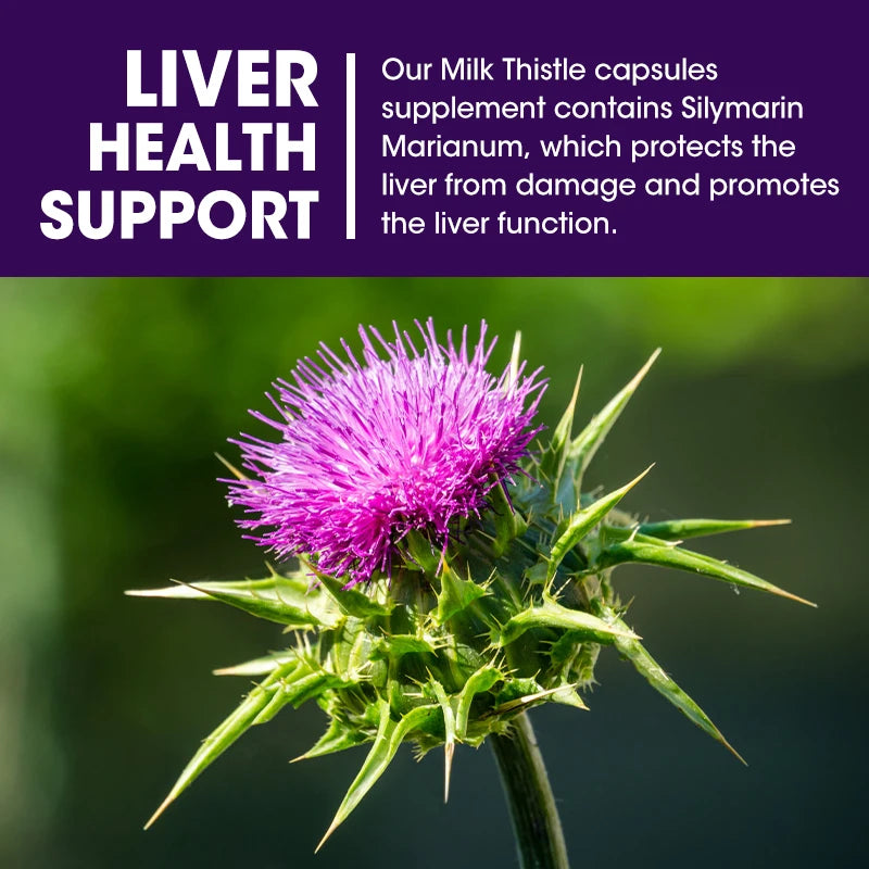 Purple milk thistle flower with text about liver health support and Silymarin Marianum.