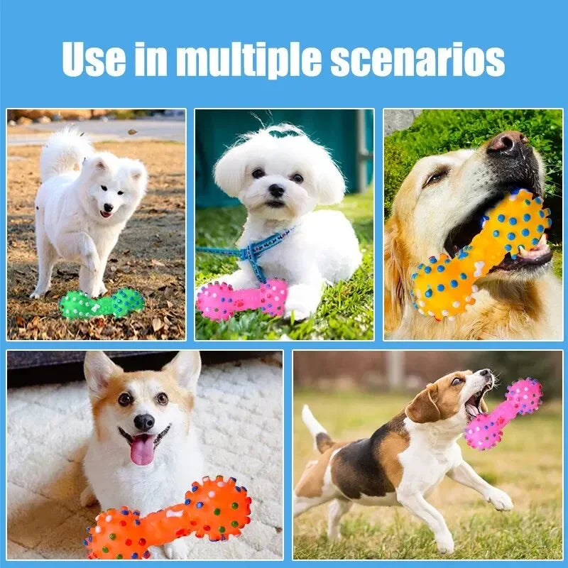 Natural Rubber Dog Chew Toy – Bite-Resistant Teeth Cleaner