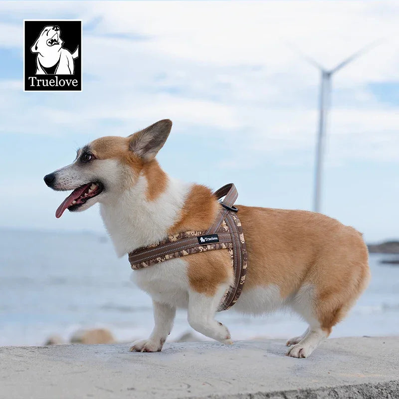 Truelove Floral Printing Mesh Padded Harness for All Breeds Quick Fit Dog Vest Harness Small Medium Large Dogs Outdoor TLH58122 Peaceful Pleasures Health and Wellness