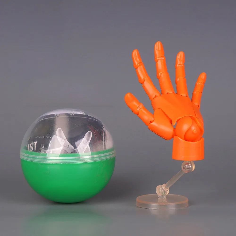 1:2 Scale Articulated Hand Model – Posable Fingers for Artists