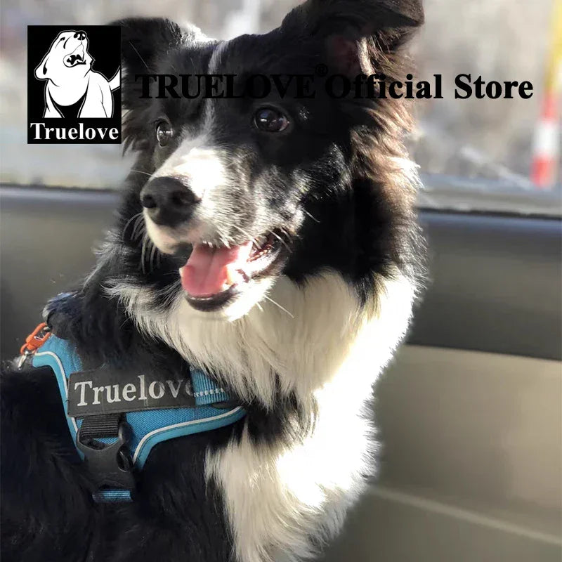 Truelove Dog Harness No-Pull Reflective Stitching Night Visibility Outdoor Adventure Big Dog Harness Match Puppy Vest TLH5753 Peaceful Pleasures Health and Wellness