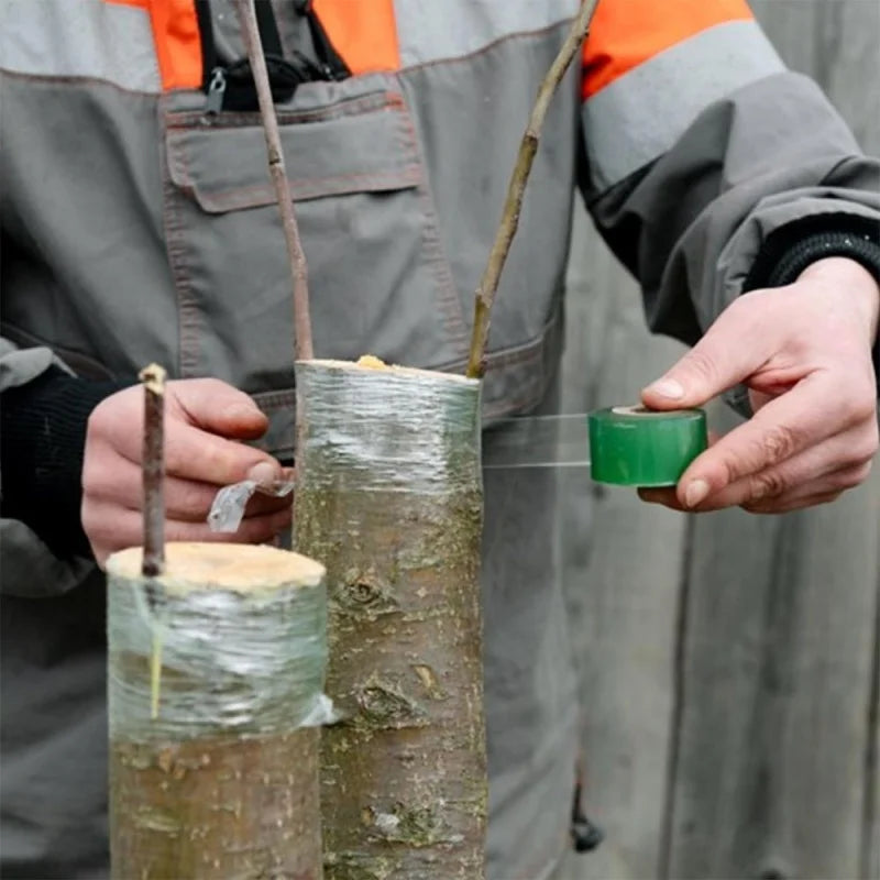 Self-Adhesive Grafting Tape PE/PVC 100m Roll | Garden Plants