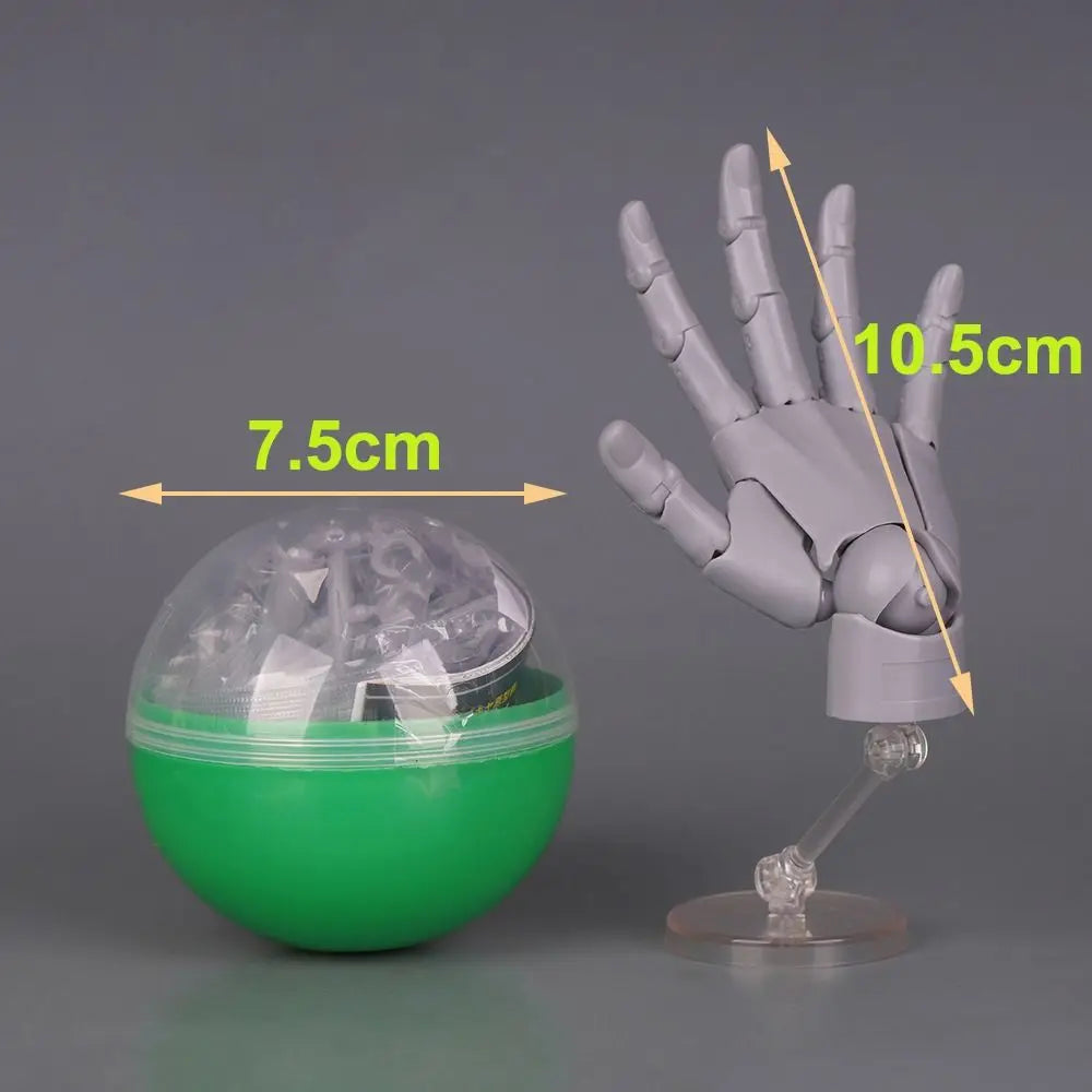 1:2 Scale Articulated Hand Model – Posable Fingers for Artists