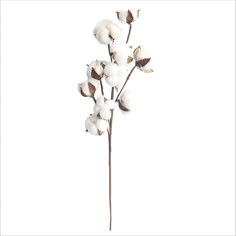 Dried Cotton Stem Branches | Natural Floral Décor for Weddings