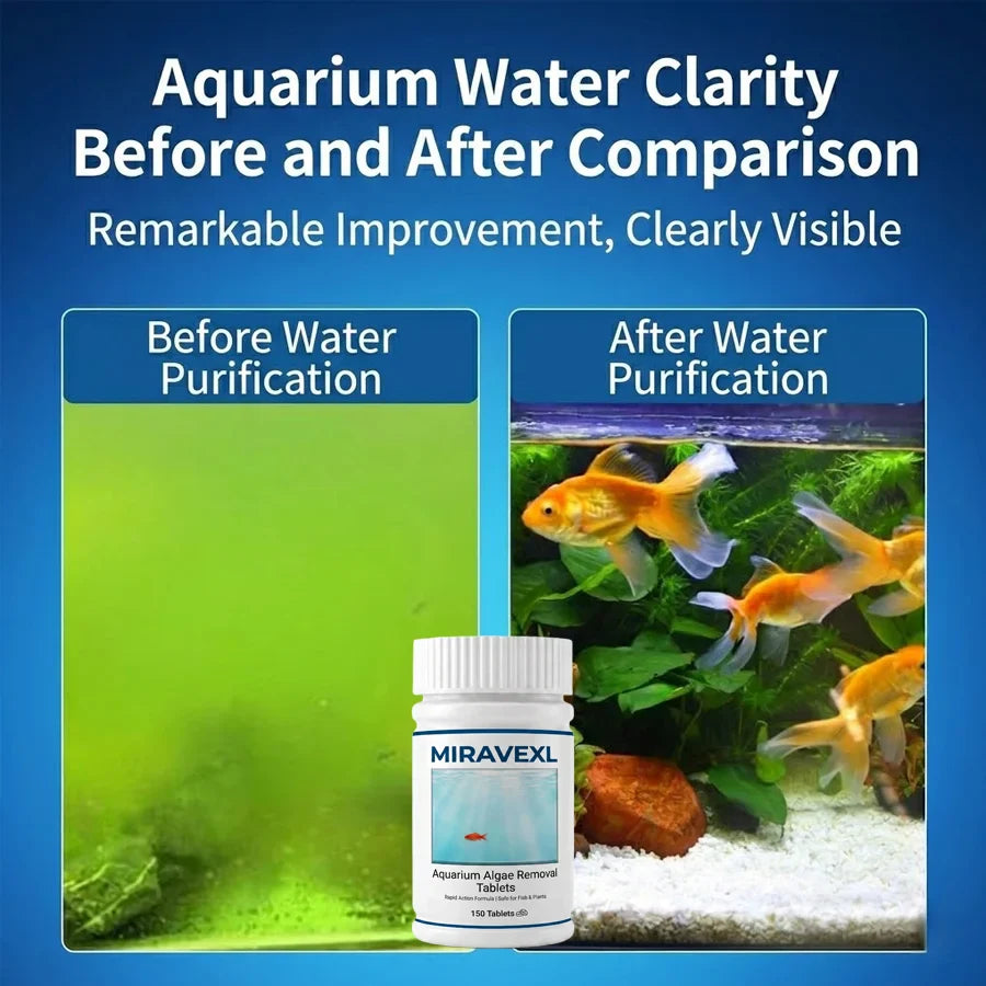 MIRAVEXL Aquarium Algae Control Tablets 150pk – Fish Safe