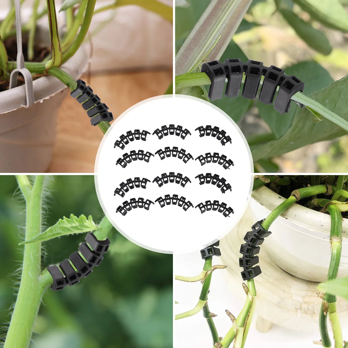 100Pcs Tomato Clamp Plant Support Clips Easy Fasten Tomato Cucumber Vine Vegetables Growing Gardening Tool Plastic Holder Plant Peaceful Pleasures Health and Wellness