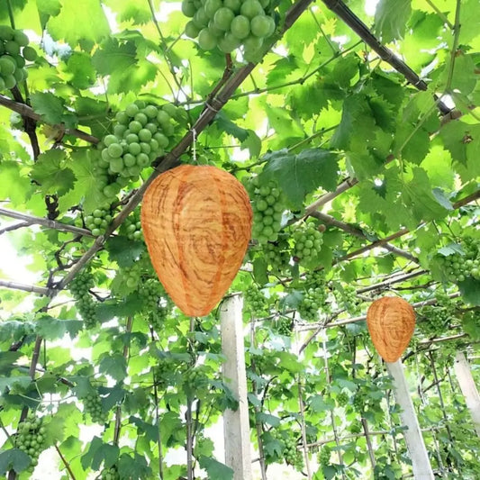 Hanging Wasp Nest Decoy | Eco-Friendly Paper Beehive Deterrent Wasp Nest Decoy Oasis Select