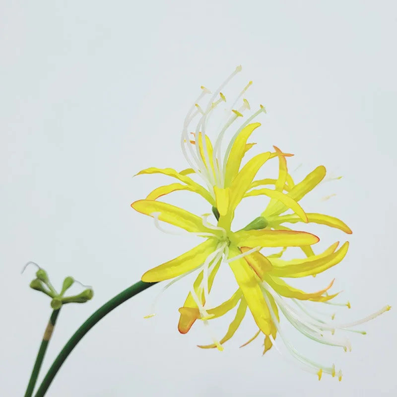 Artificial Red Spider Lily Silk Flower Branch | Home & Wedding