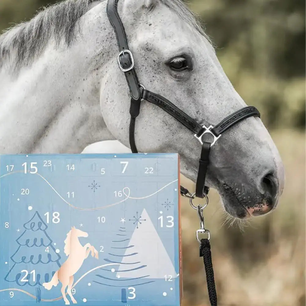 Equestrian Advent Calendar 24-Day Christmas Countdown | Horse Lovers