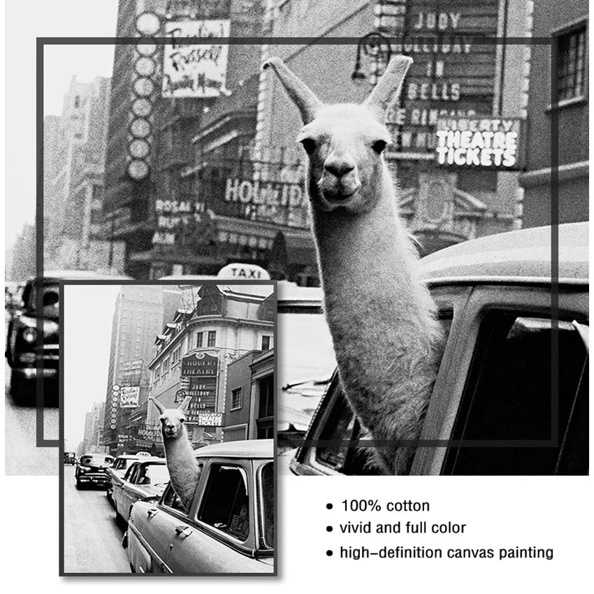 Llama in a Taxi Times Square Canvas Print | NYC Wall Art