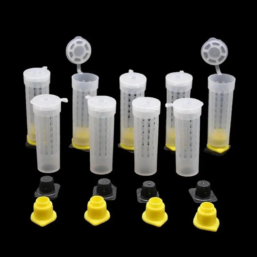 Beekeeping Bee Plastic Queen Rearing Cage Cup Box Protection Cover