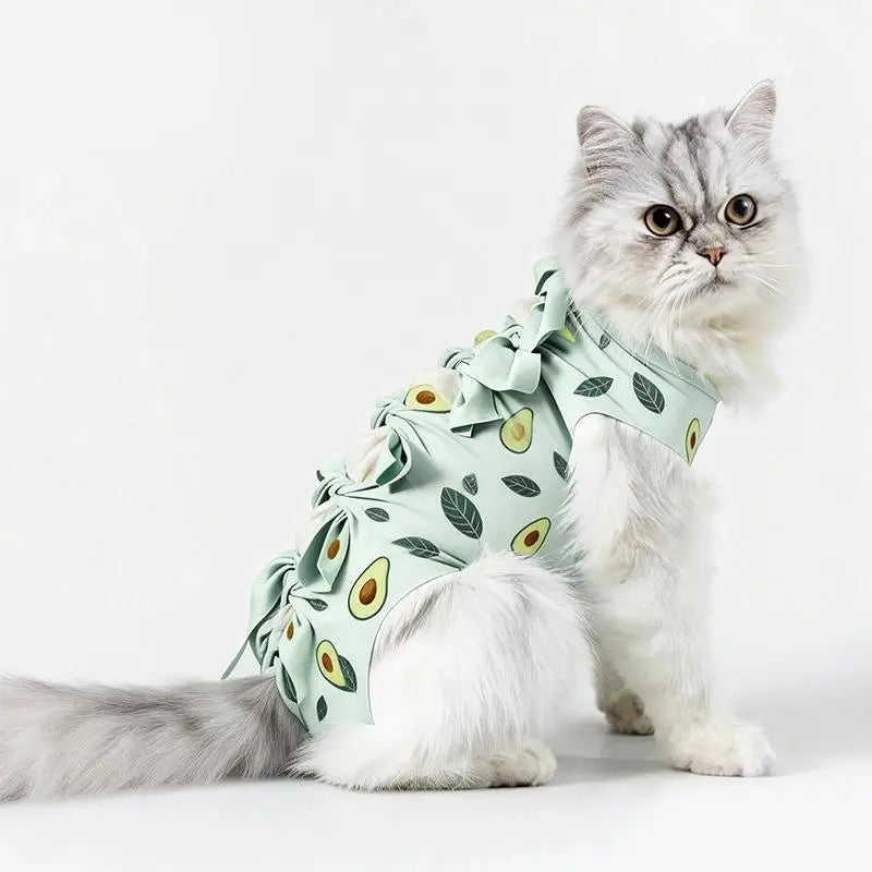 Cat Recovery Suit – Post-Op Anti-Licking Protective Clothing