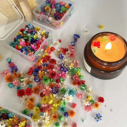 Dried Gypsophila Flowers for Candle, Soap & Resin Crafts Dried Craft Flowers Oasis Select