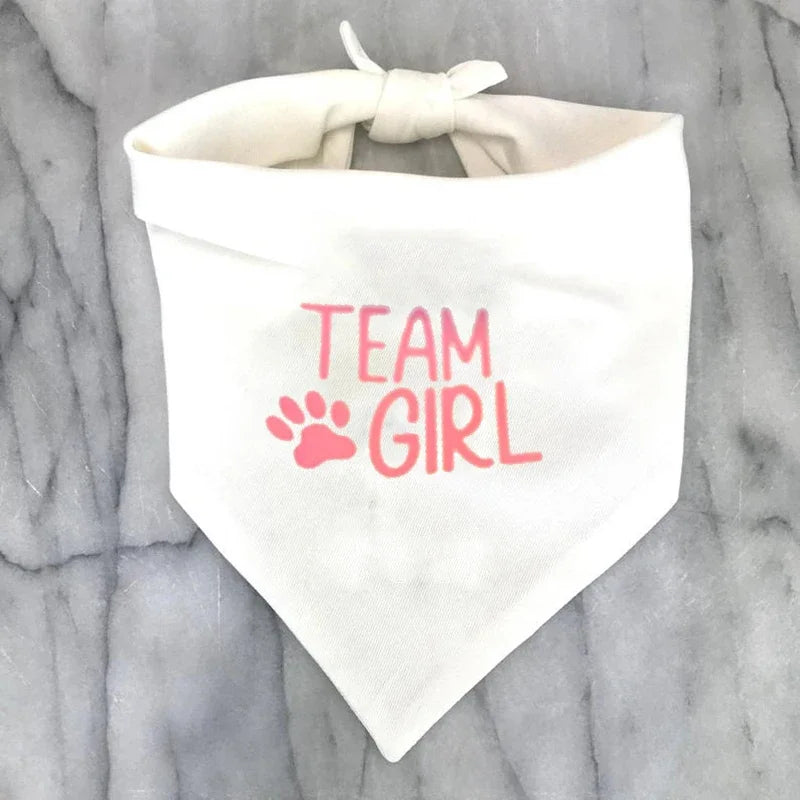 Team Boy & Team Girl Dog Bandana – Gender Reveal Party Prop