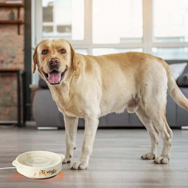 Heated Water Bowl for Dog Ceramics Pet Heating Bowl Constant Temperature Automatic Waterer for Dogs Cats Rabbits Birds Chickens Peaceful Pleasures Health and Wellness