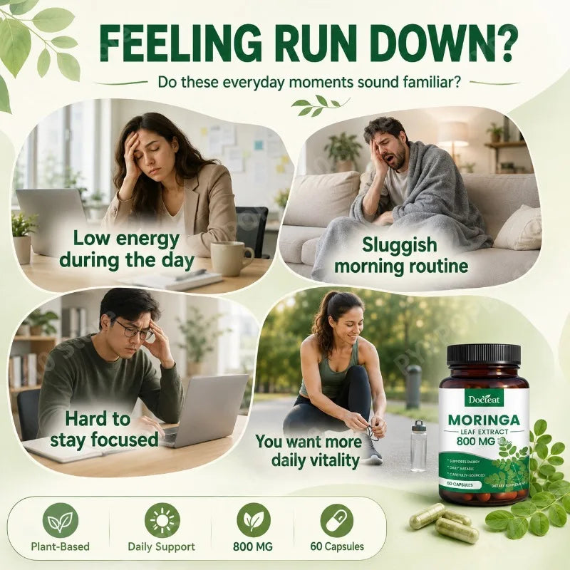 Docteat Moringa Leaf Extract 800mg Capsules – 60 Count